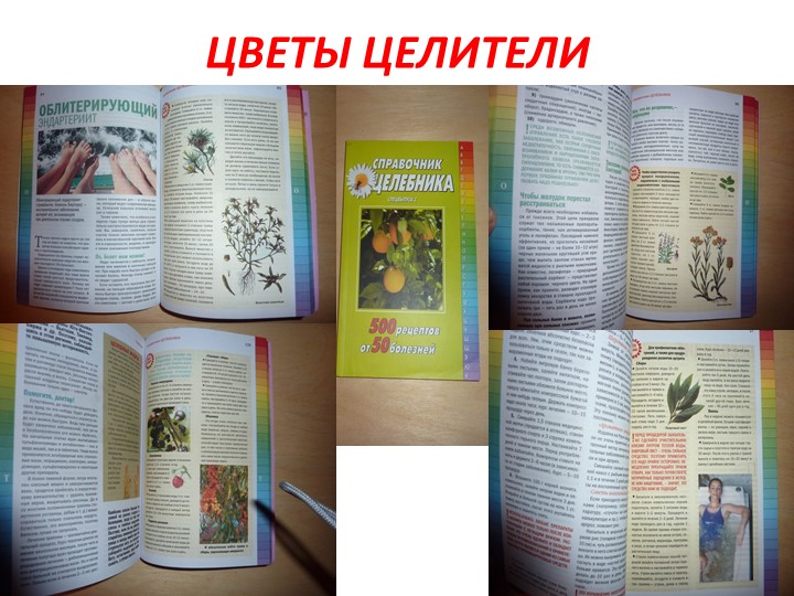 Проект на тему: "Цветы" в старшей группе