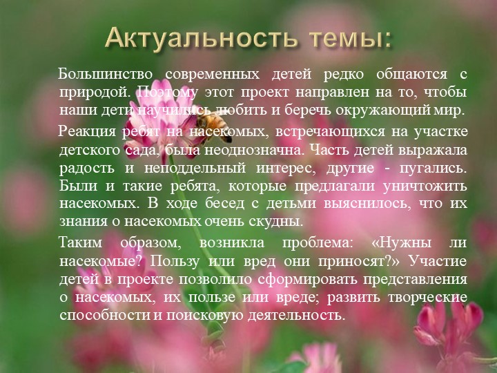 Проект на тему: "Насекомые" в старшей группе