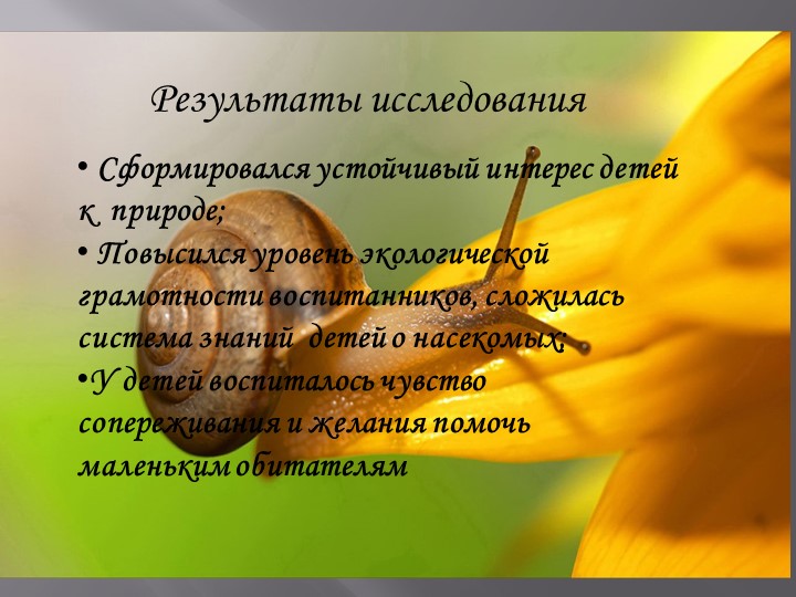 Проект на тему: "Насекомые" в старшей группе