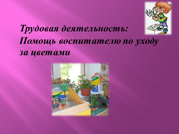 Презентация Проект по Экологии