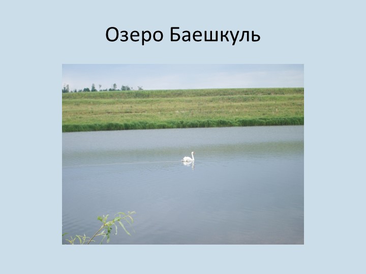 Презентация По тропинкам родной деревни
