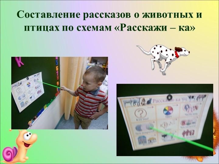 Презентация проекта организации с.р.и. "Зоопарк"