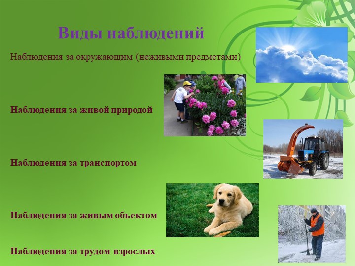 НАБЛЮДЕНИЕ КАК ФОРМА ПОЗНАНИЯ ОКРУЖАЮЩЕГО МИРА ДЕТЬМИ ДОШКОЛЬНОГО ВОЗРАСТА