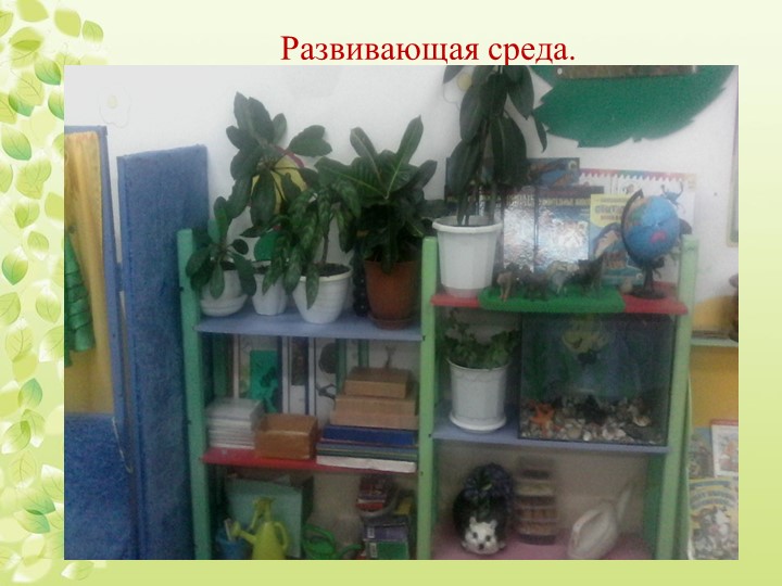 Презентация "Экологическое воспитание дошкольников"
