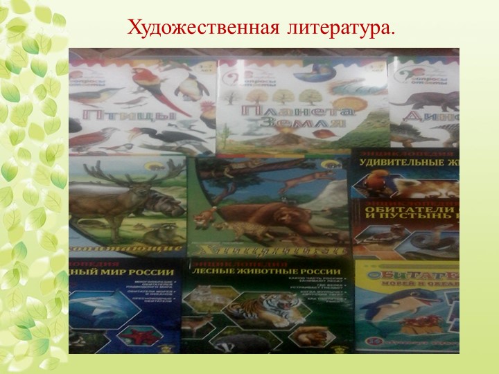 Презентация "Экологическое воспитание дошкольников"