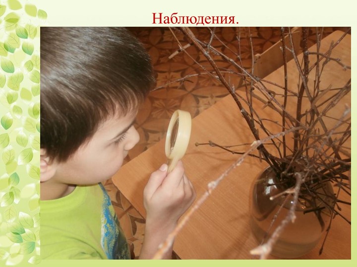 Презентация "Экологическое воспитание дошкольников"