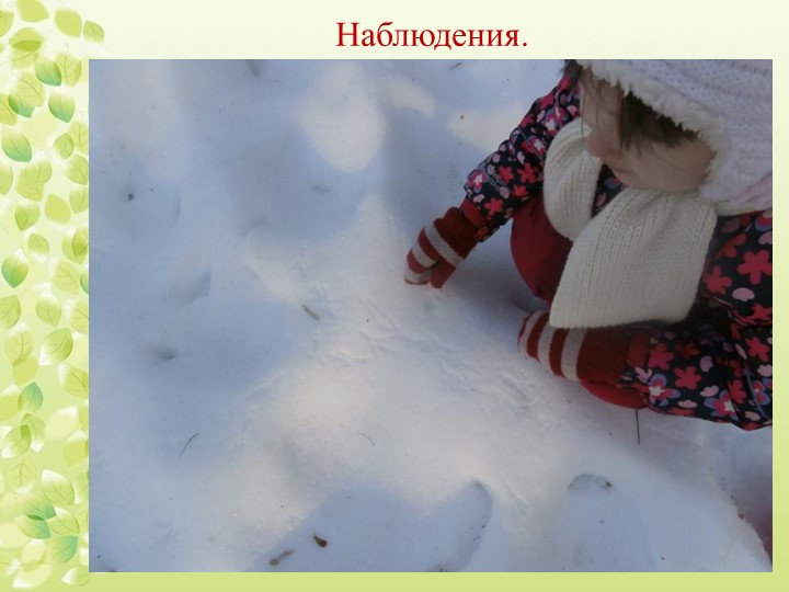 Презентация "Экологическое воспитание дошкольников"