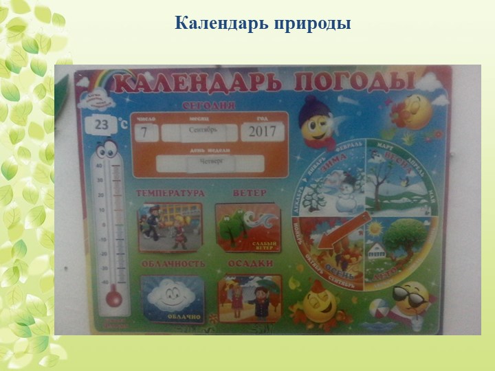 Презентация "Экологическое воспитание дошкольников"