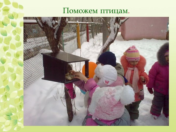 Презентация "Экологическое воспитание дошкольников"