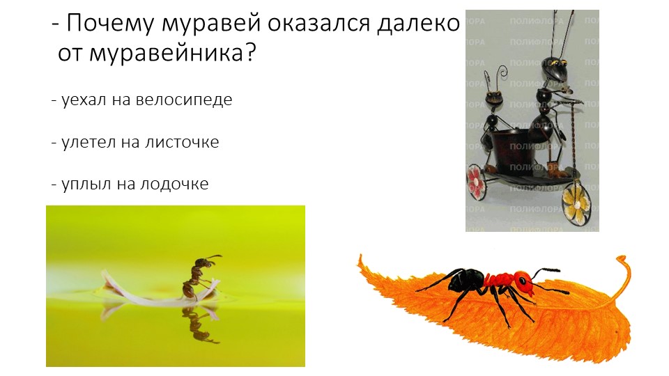 Презентация. В.Бианке "Как Муравьишка домой спешил"