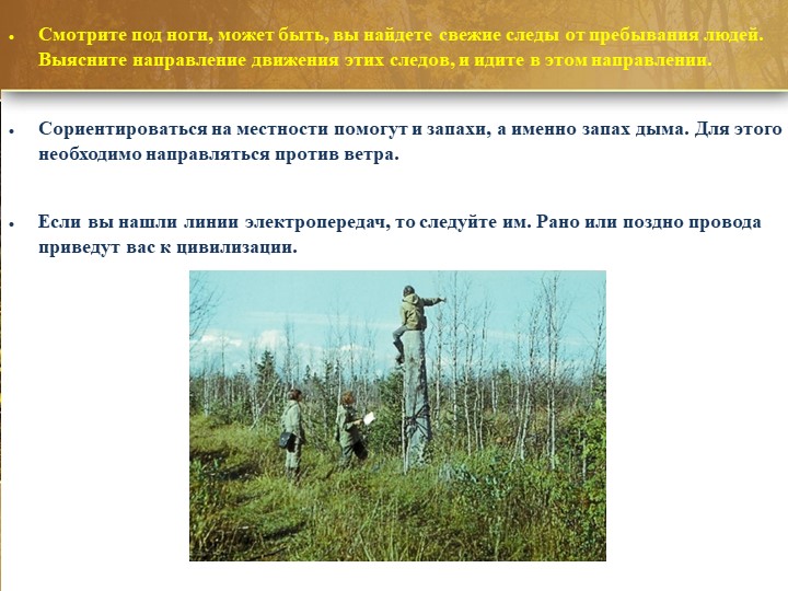 Презентация по образовательной области "Социально - коммуникативное развитие"(безопасность) на тему: "Лес может быть опасным!"