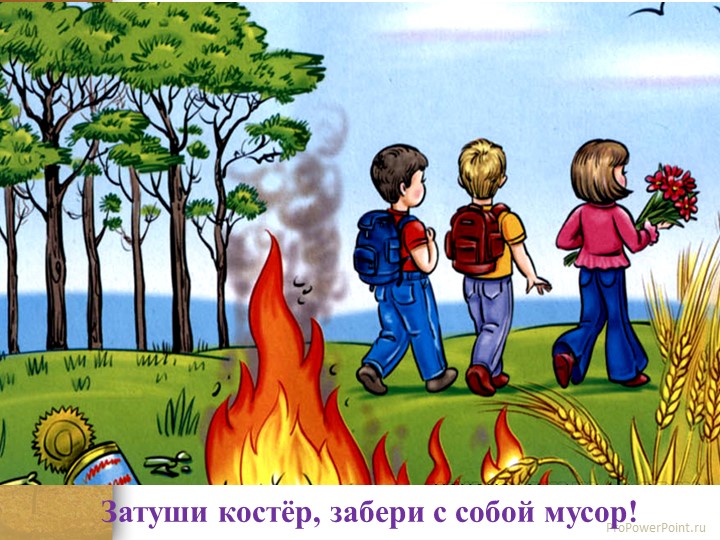 Презентация по образовательной области "Социально - коммуникативное развитие"(безопасность) на тему: "Лес может быть опасным!"