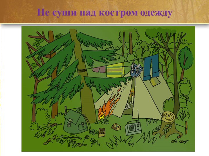 Презентация по образовательной области "Социально - коммуникативное развитие"(безопасность) на тему: "Лес может быть опасным!"