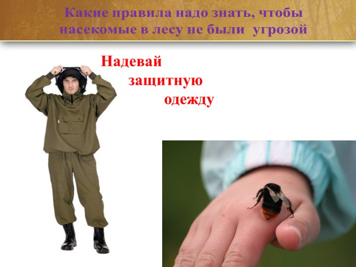 Презентация по образовательной области "Социально - коммуникативное развитие"(безопасность) на тему: "Лес может быть опасным!"