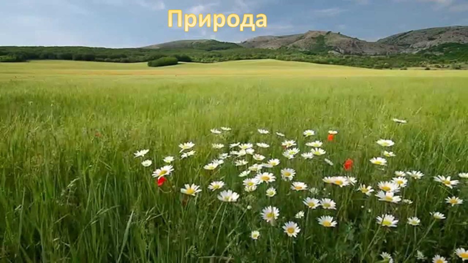 Презентация по ознакомлению с миром природы в старшей группе «Что такое природа»