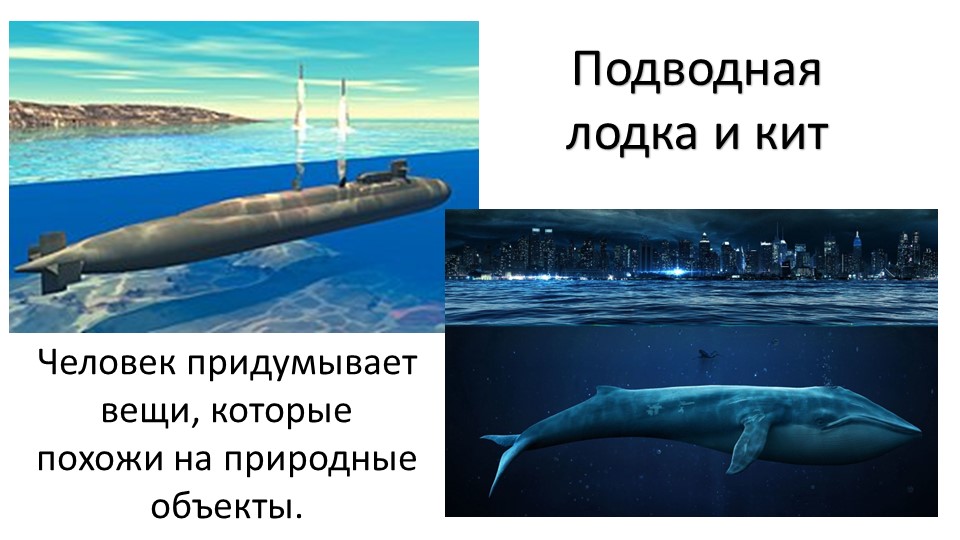 Презентация по ознакомлению с миром природы в старшей группе «Что такое природа»