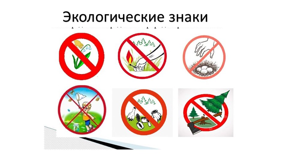 Презентация по ознакомлению с миром природы в старшей группе «Что такое природа»