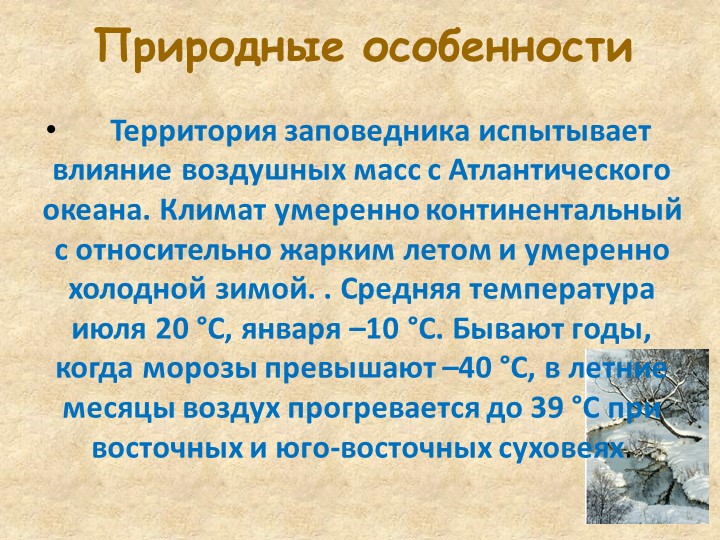 Презентация по познавательному развитию В"Заповеднике"