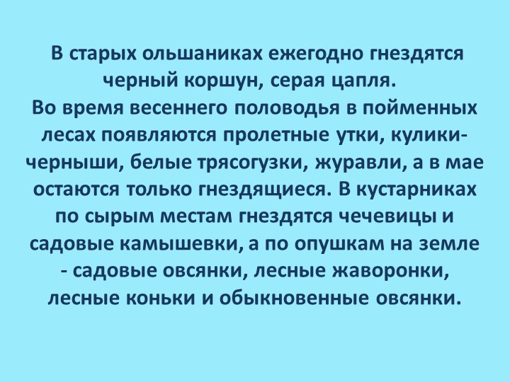 Презентация по познавательному развитию В"Заповеднике"