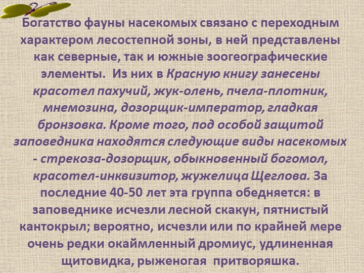 Презентация по познавательному развитию В"Заповеднике"