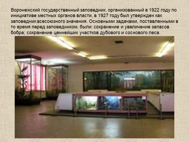 Презентация по познавательному развитию В"Заповеднике"