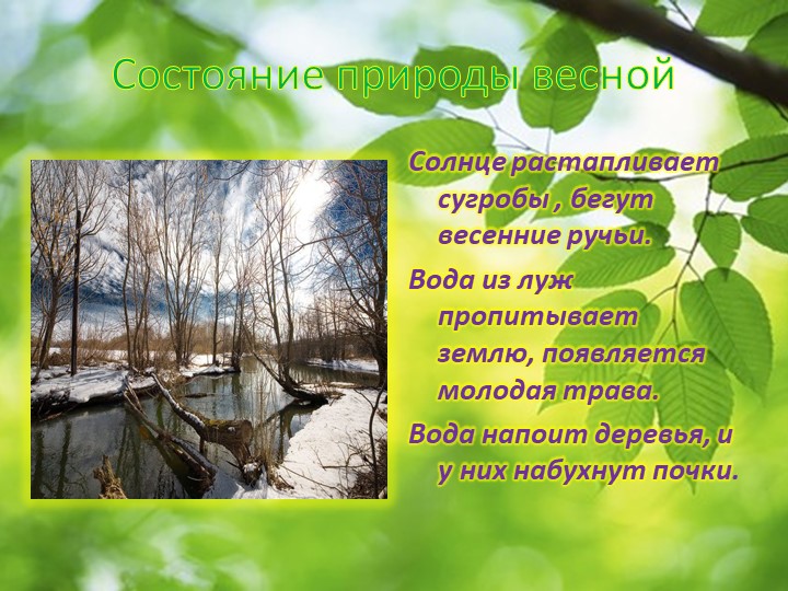 Презентация по окружающему миру "Пробуждение весны"