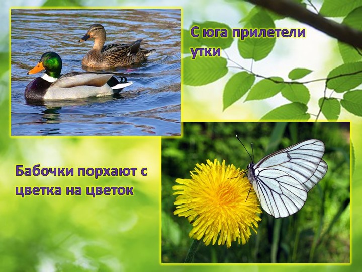 Презентация по окружающему миру "Пробуждение весны"