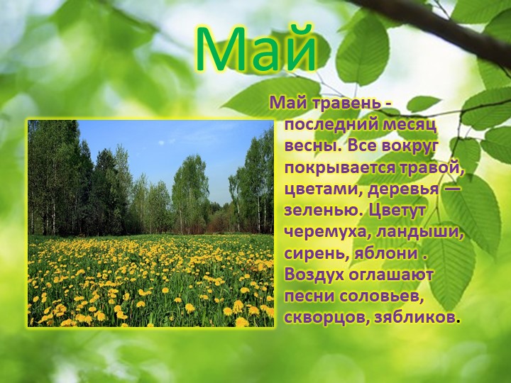 Презентация по окружающему миру "Пробуждение весны"