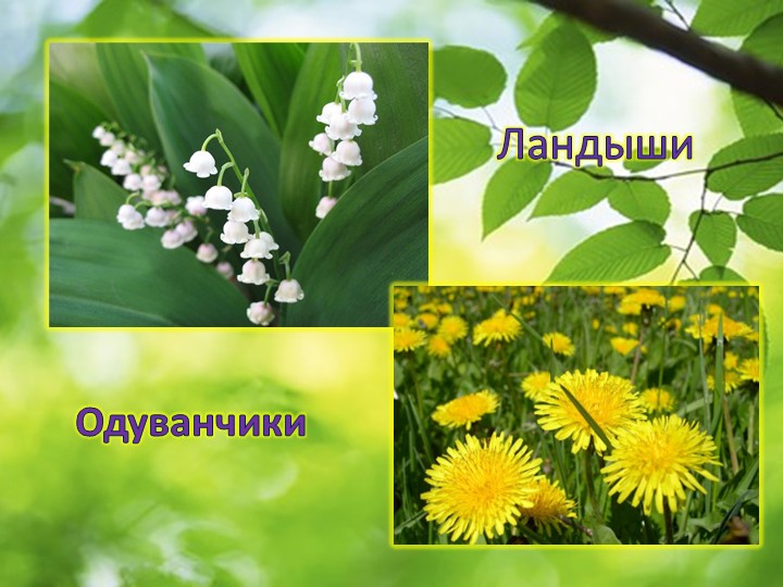 Презентация по окружающему миру "Пробуждение весны"