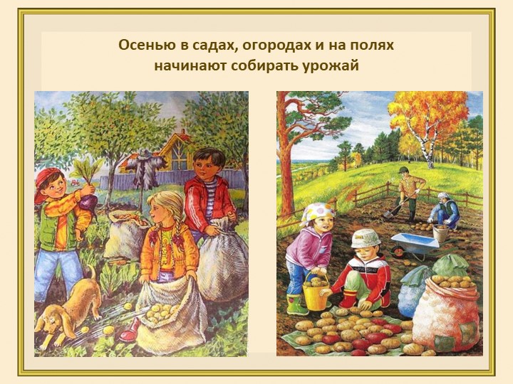 Презентация для второй младшей группы на тему: "Осень в гости просим"