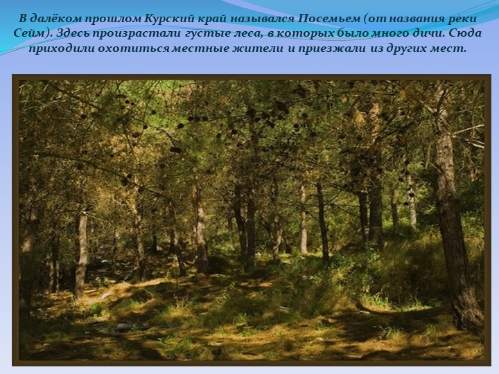 Презентация "Детям о Курском крае"