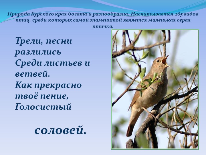 Презентация "Детям о Курском крае"