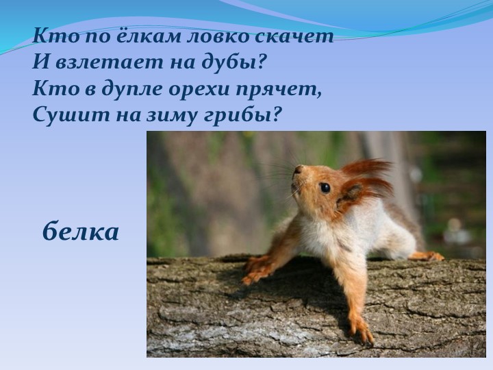 Презентация "Детям о Курском крае"