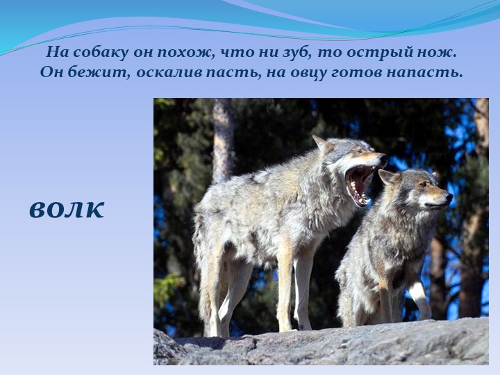 Презентация "Детям о Курском крае"