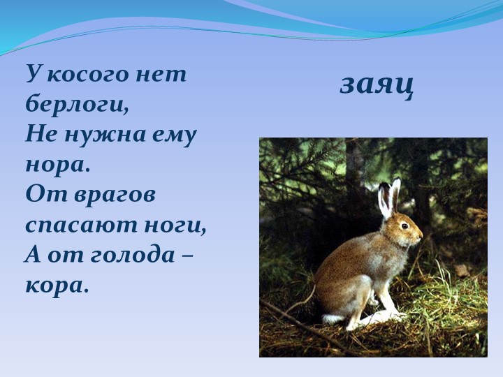 Презентация "Детям о Курском крае"