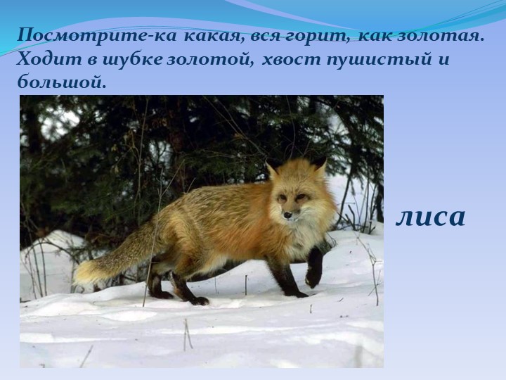 Презентация "Детям о Курском крае"