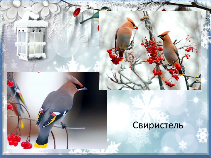 Презентация "Зимующие птицы курского края"