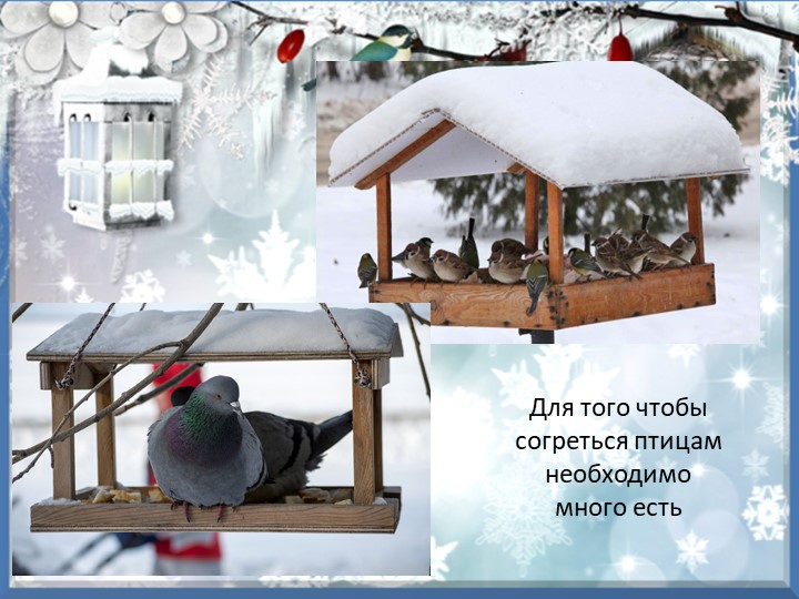 Презентация "Зимующие птицы курского края"