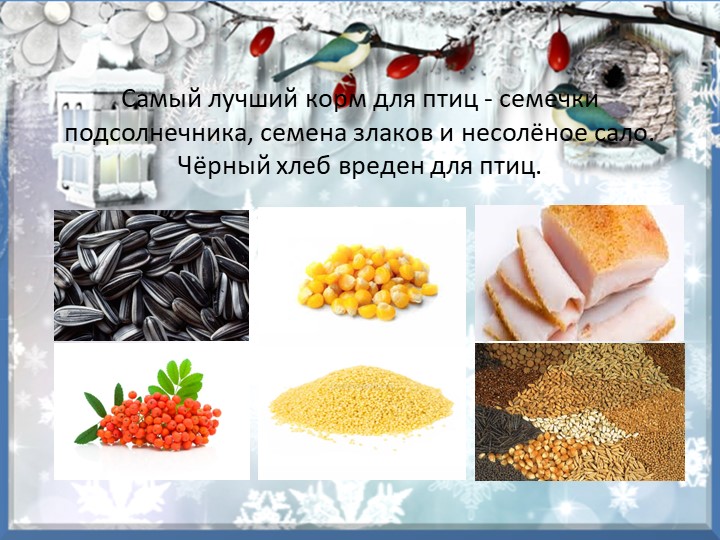 Презентация "Зимующие птицы курского края"
