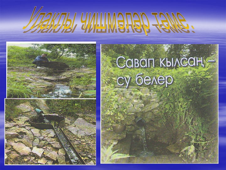 «Туган як табигате һәм аны саклау проблемасының татар теле дәресләрендә чагылышы.»