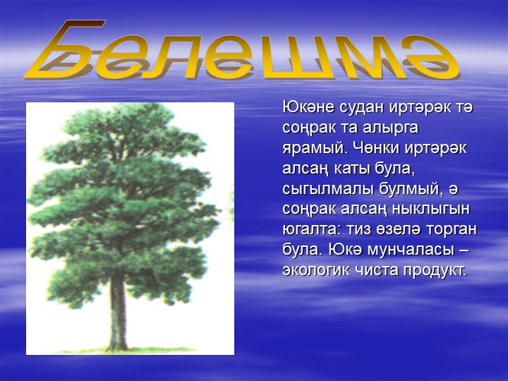 «Туган як табигате һәм аны саклау проблемасының татар теле дәресләрендә чагылышы.»