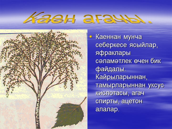 «Туган як табигате һәм аны саклау проблемасының татар теле дәресләрендә чагылышы.»