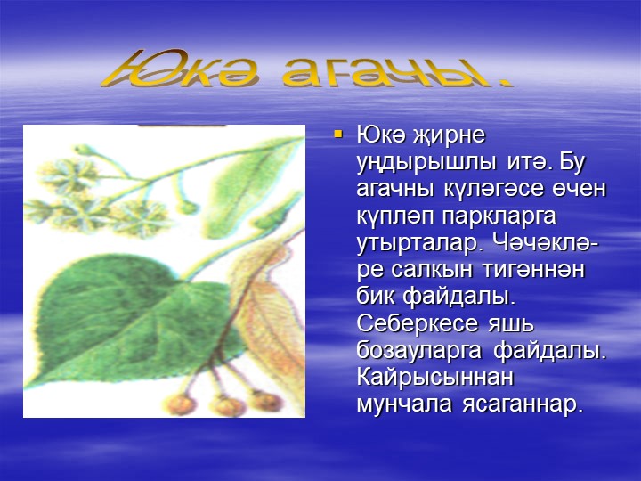«Туган як табигате һәм аны саклау проблемасының татар теле дәресләрендә чагылышы.»