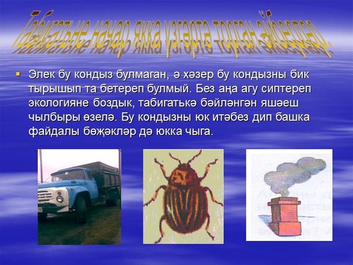 «Туган як табигате һәм аны саклау проблемасының татар теле дәресләрендә чагылышы.»