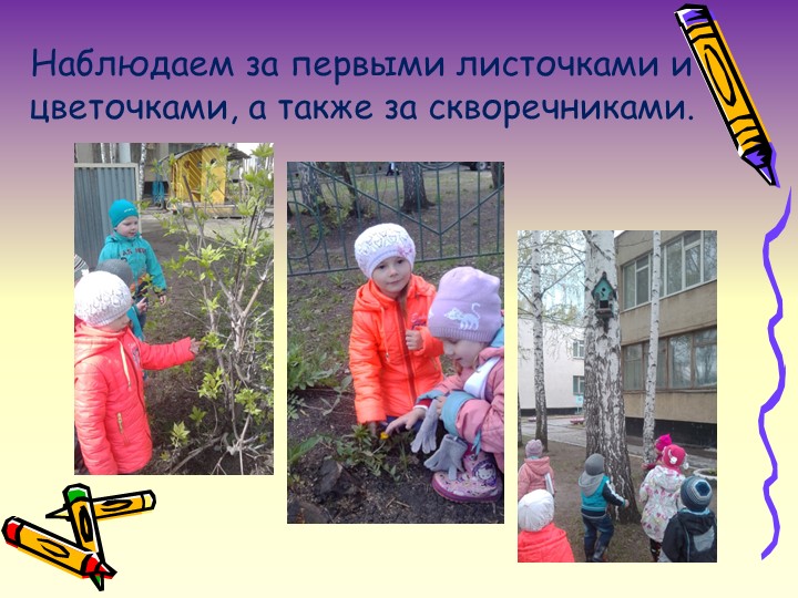 Презентация на тему: "Аналитический отчет".