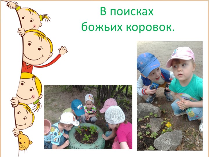 Презентация на тему: "Летнее оздоровление".