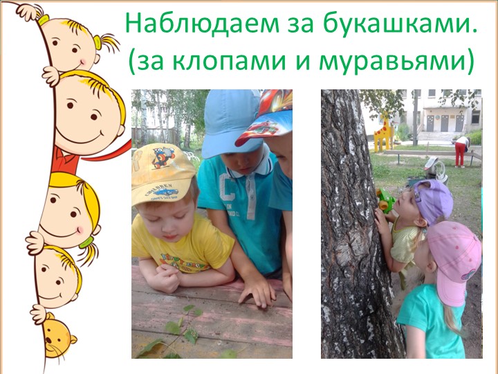 Презентация на тему: "Летнее оздоровление".