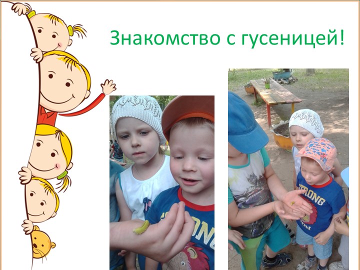 Презентация на тему: "Летнее оздоровление".