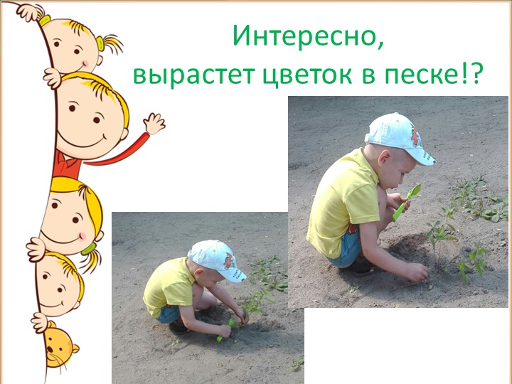 Презентация на тему: "Летнее оздоровление".