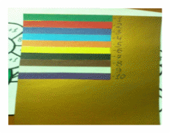 image (8).jpeg